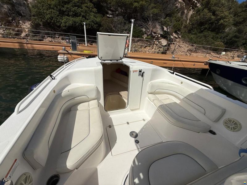 Scarab 35 SPORT