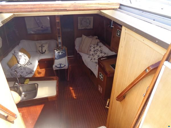 Bavaria 44