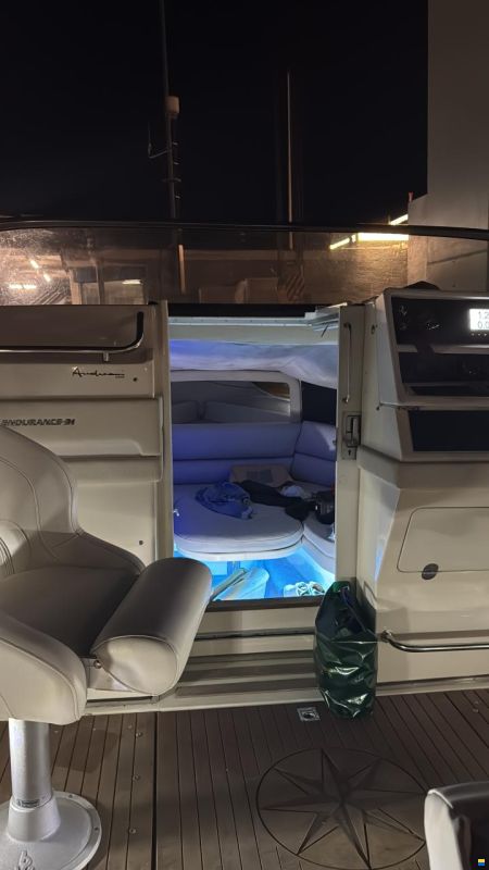 Cranchi Endurance 31