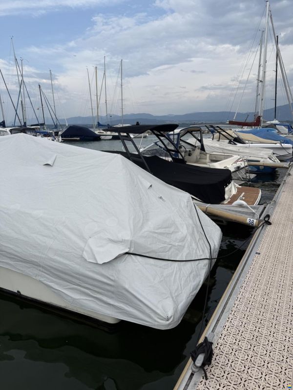 Cranchi Endurance 31