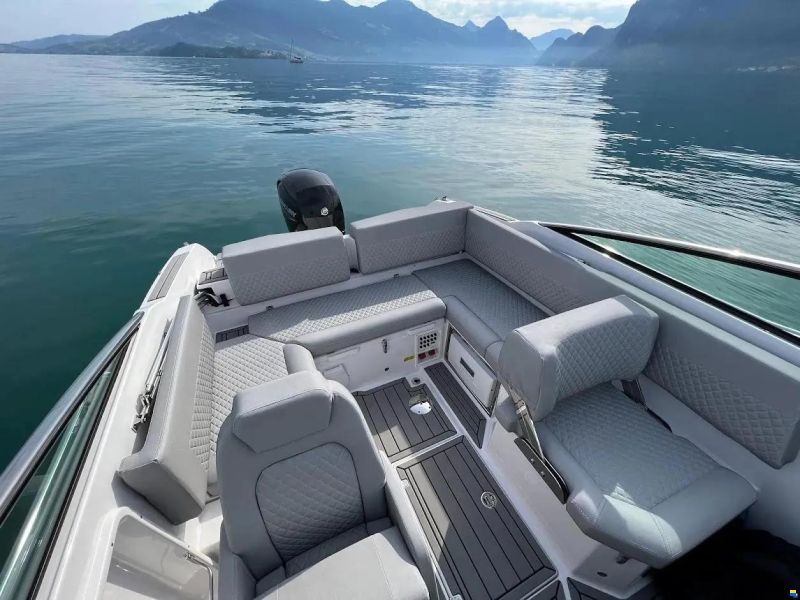 Flipper 650 Day Cruiser