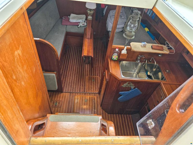 Forgus 35