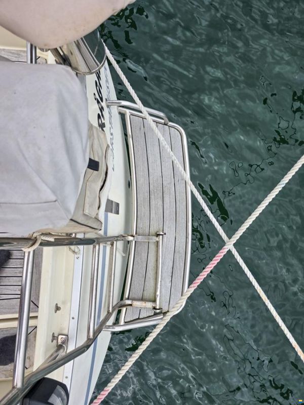 Forgus 35