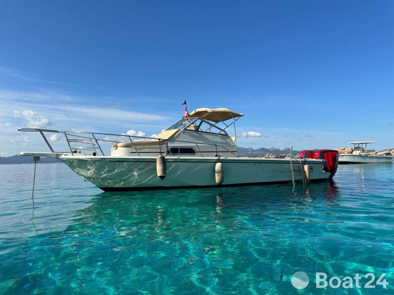 Boston Whaler Revenge 25