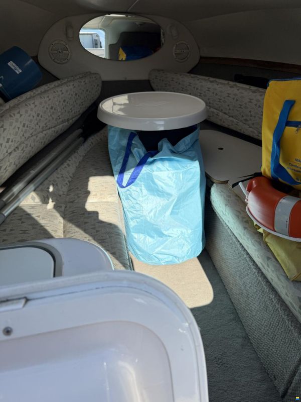 Four Winns Sundowner 245