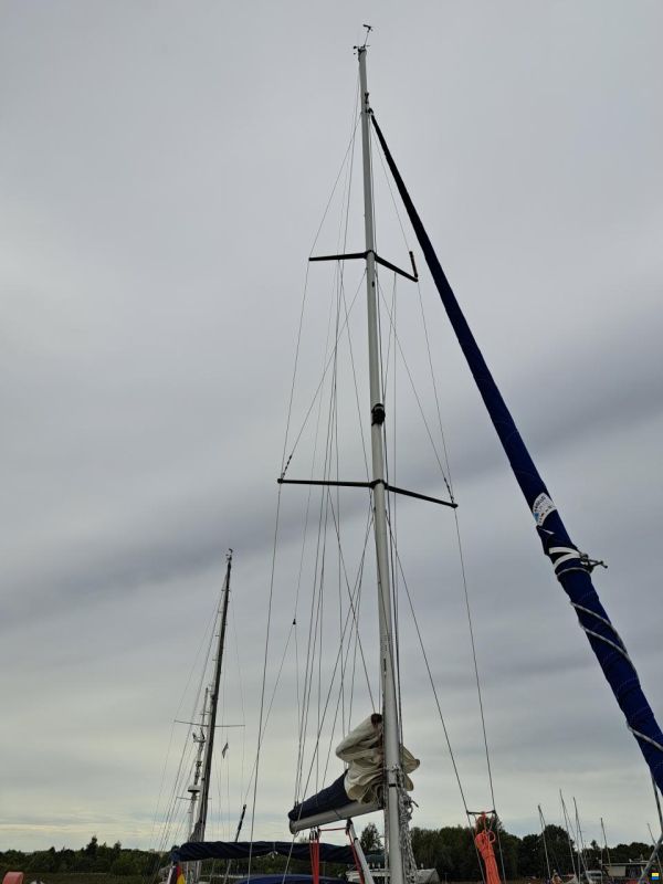 Bavaria 37