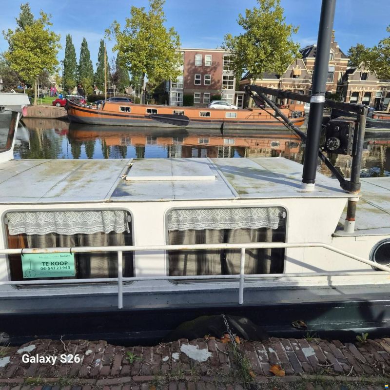 Katwijker Scherpsteven 19.86