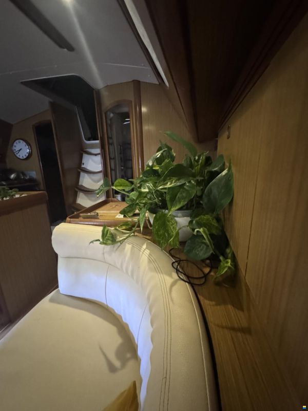 Jeanneau Sun Odyssey 39 DS