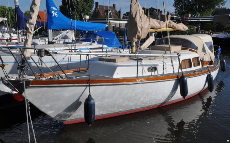 Delphin 66
