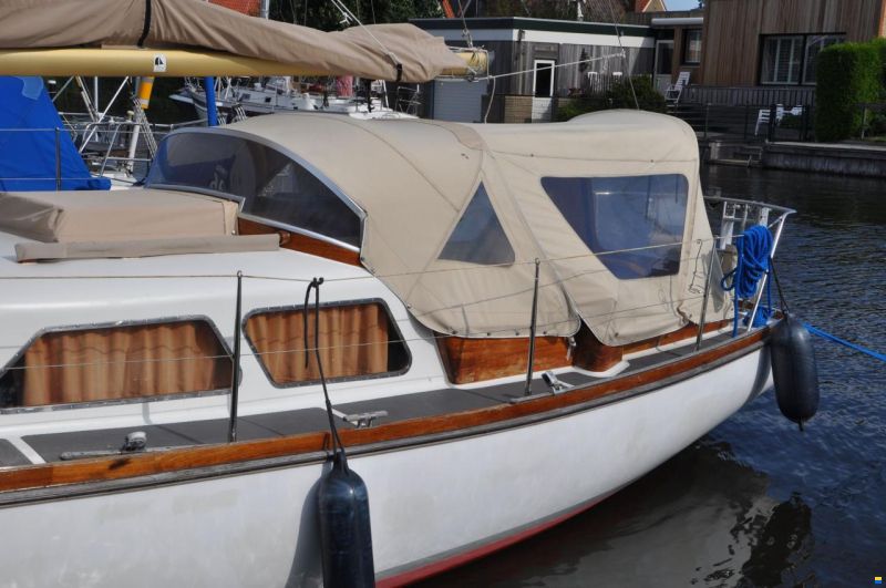 Delphin 66