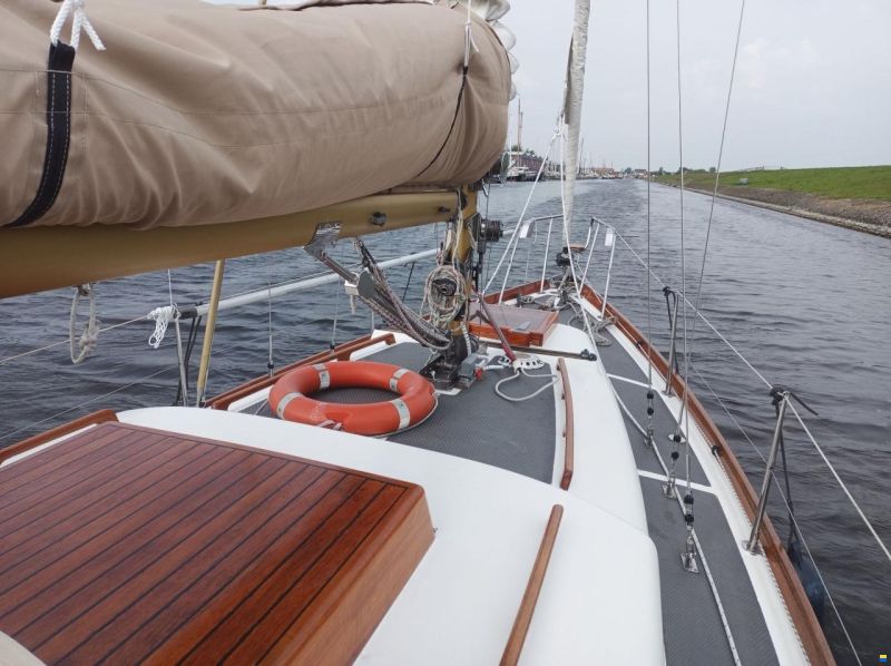 Delphin 66