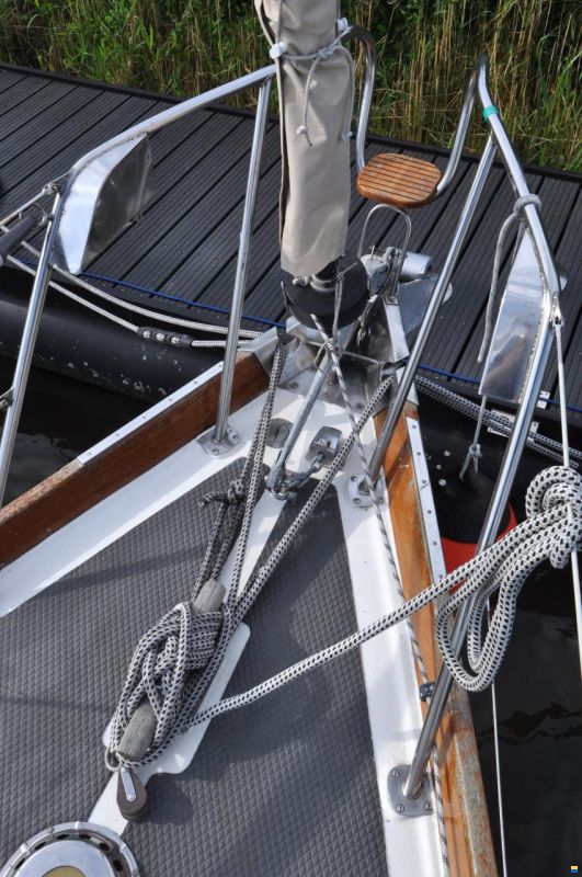 Delphin 66