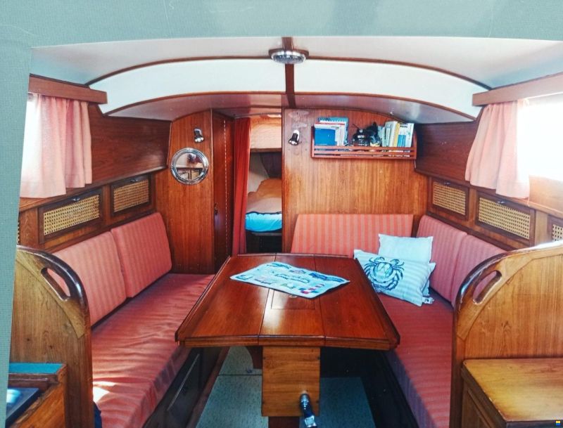 Delphin 66