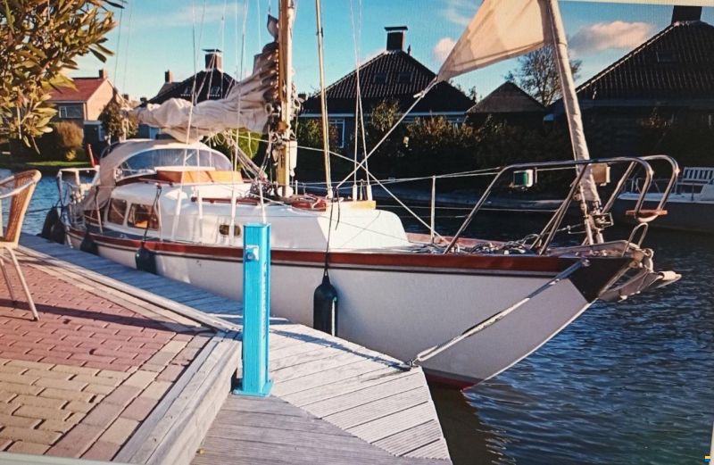 Delphin 66
