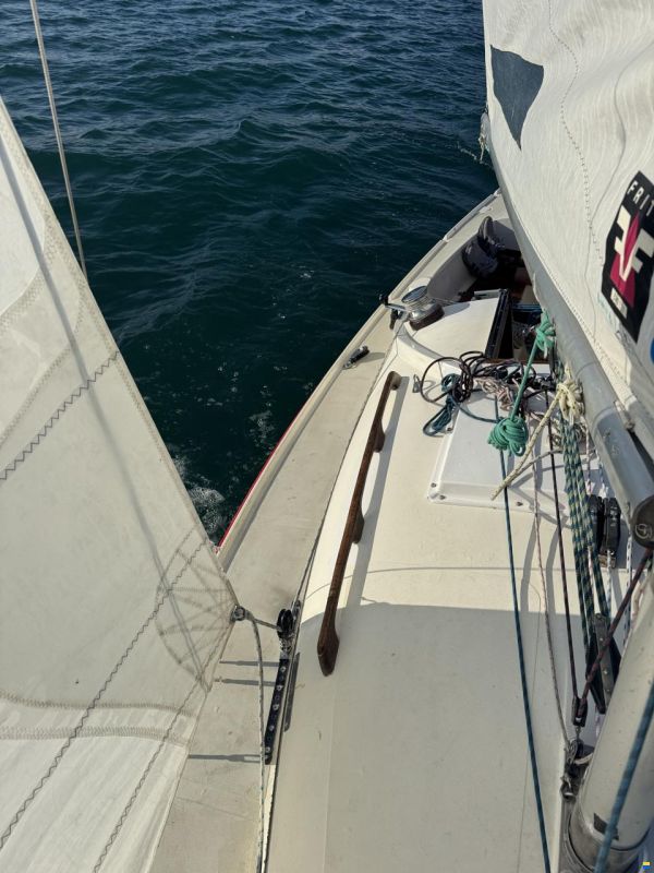 Artekno H-Boot