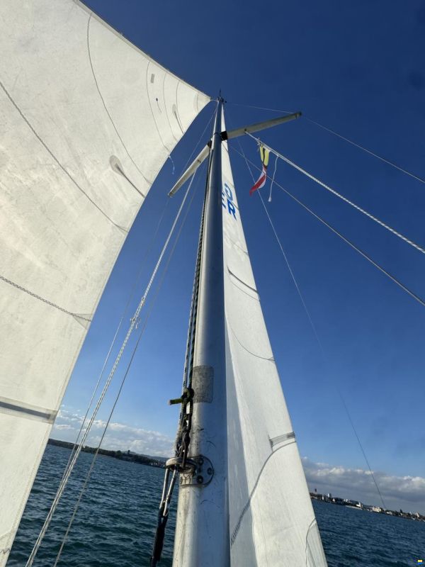 Artekno H-Boot