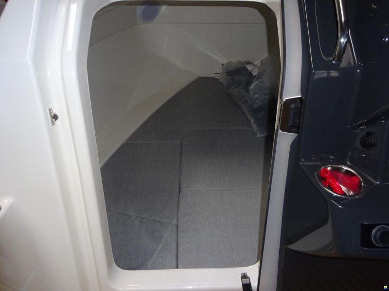 Quicksilver Activ 555 Cabin