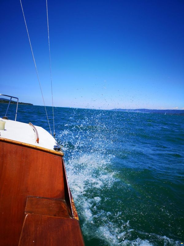Amiguet Corsaire