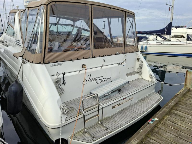 Sea Ray 500
