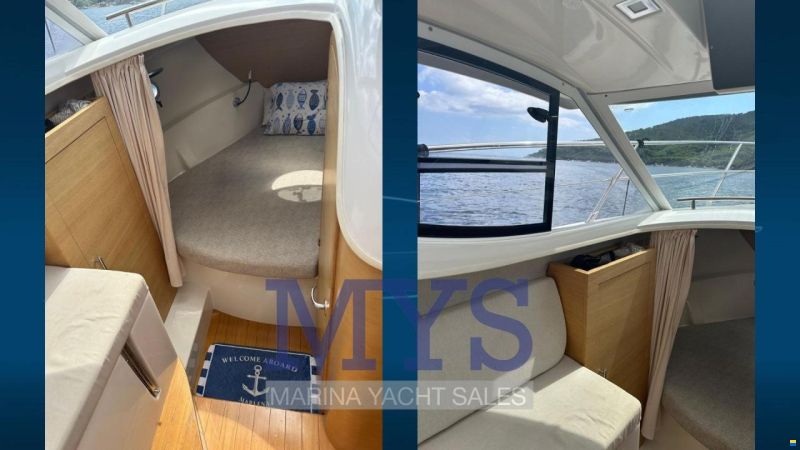 Sessa DORADO 26