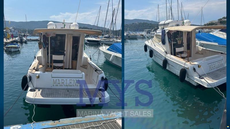 Sessa DORADO 26