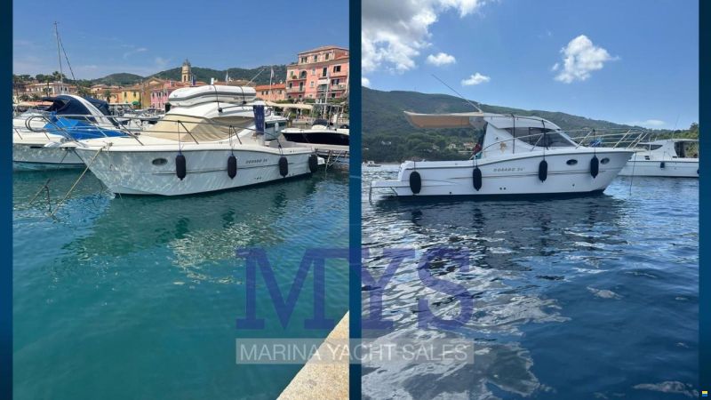 Sessa DORADO 26