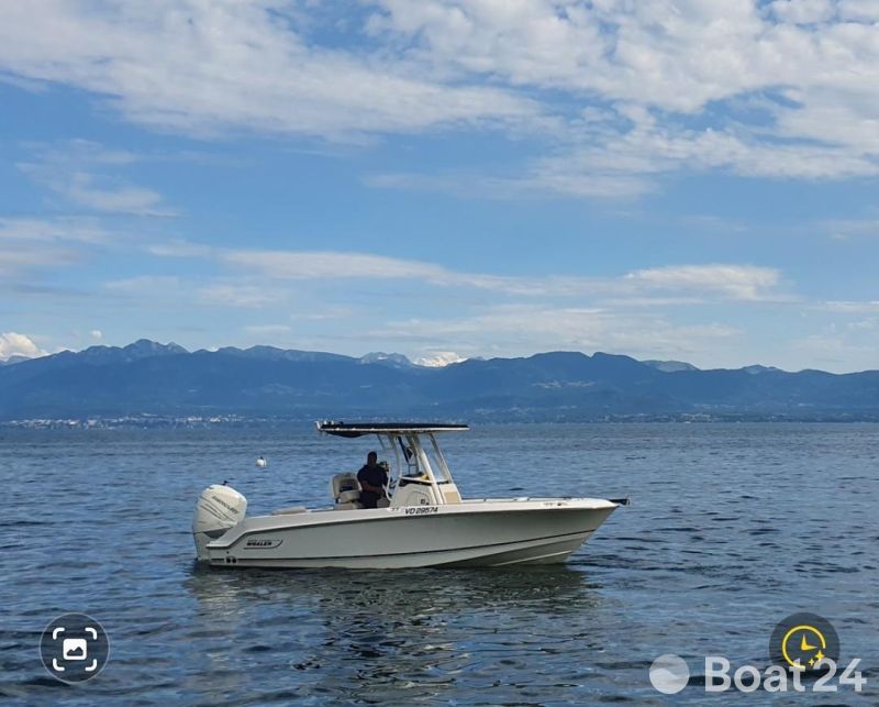 Boston Whaler 230 outrage