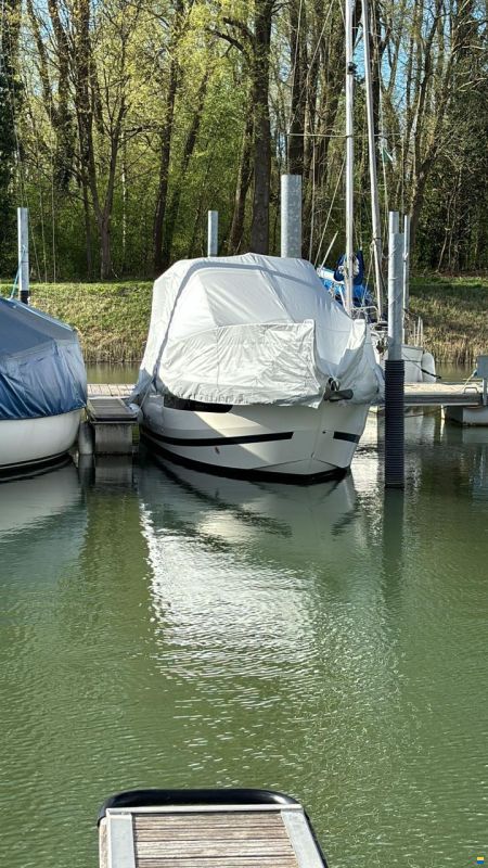 Bayliner Ciera 8