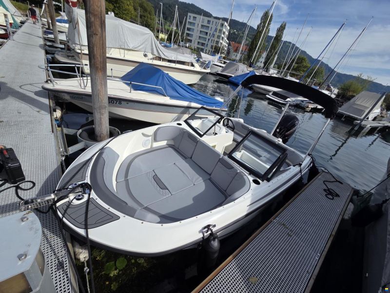 Bayliner M17