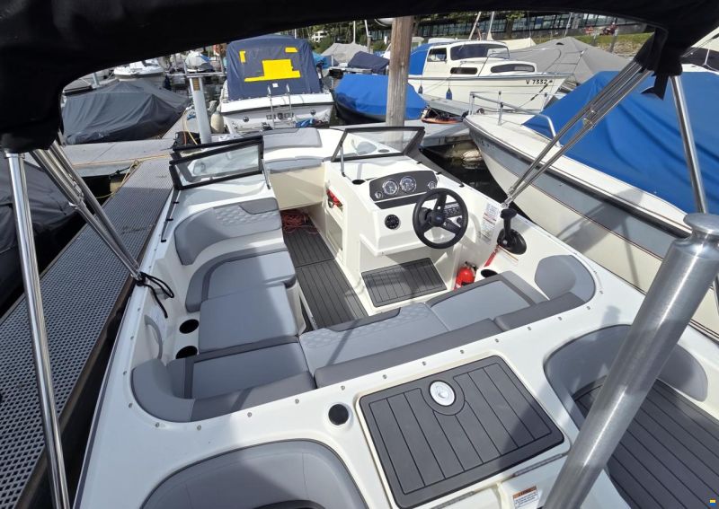 Bayliner M17