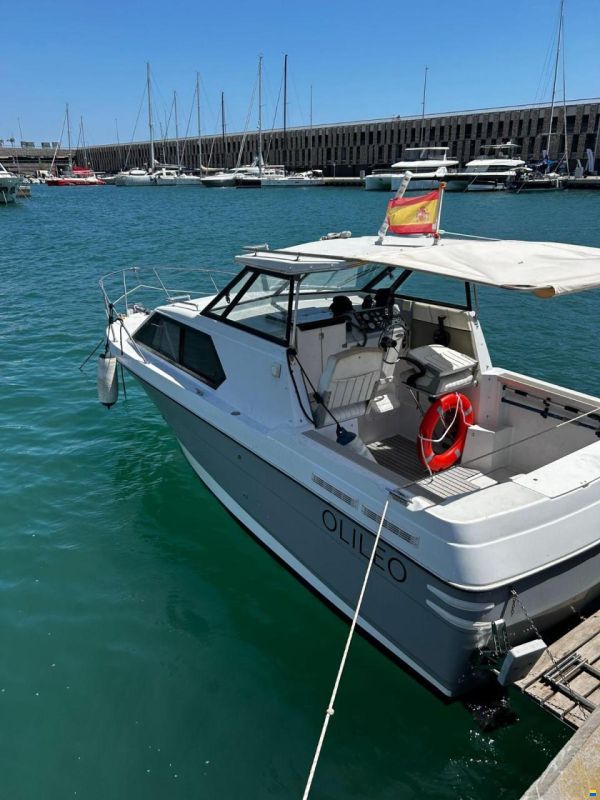 Bayliner Ciera 2452 Express