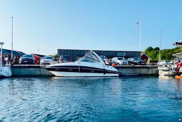 Cruisers 300 Cxi