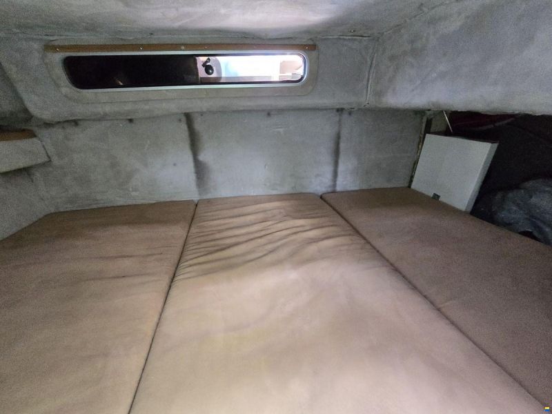 Sea Ray 220DA