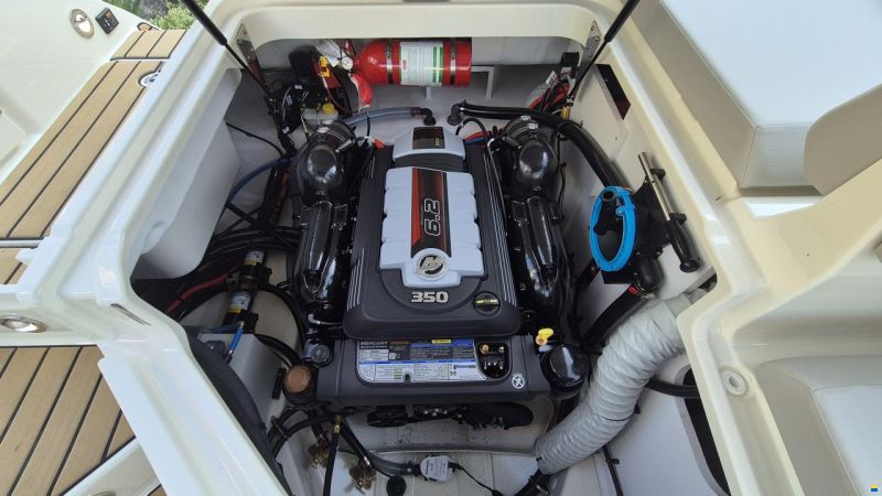 Sea Ray SDX 270 Surf