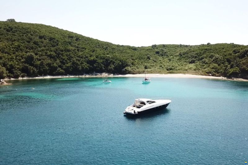 Alfamarine 58
