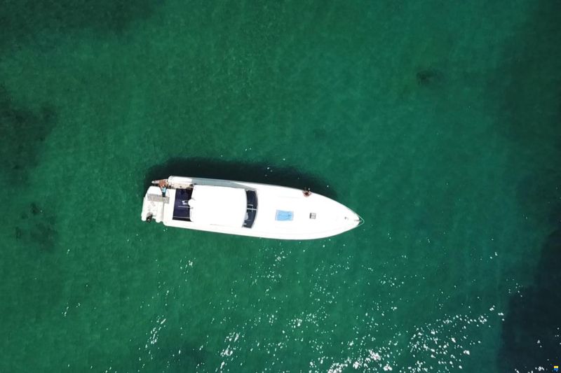 Alfamarine 58