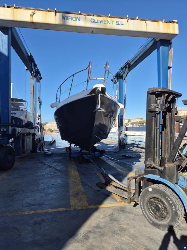Cranchi 39 Endurance