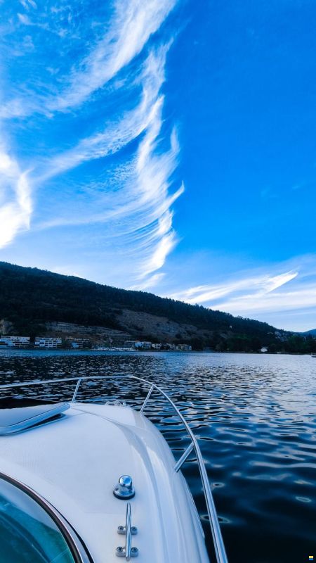 Rinker 212 Festival Cuddy