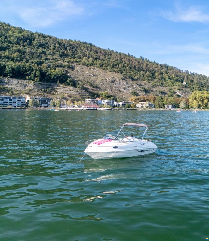 Rinker 212 Festival Cuddy