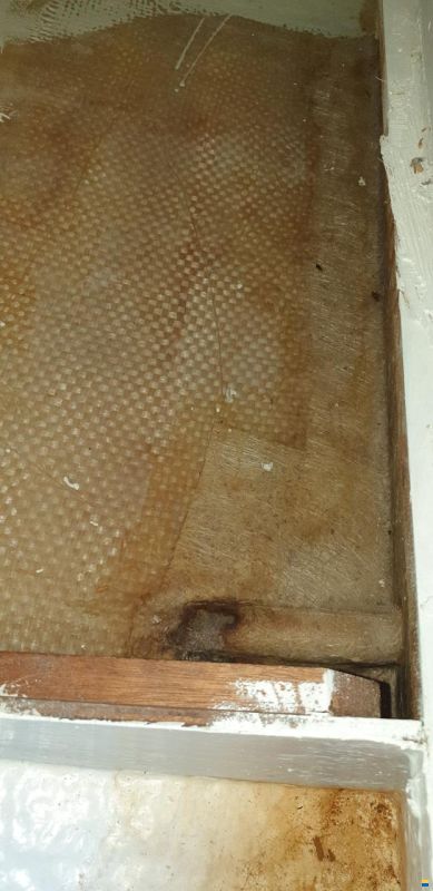 Archambault Bagheera