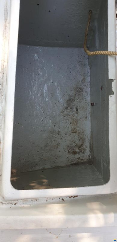 Archambault Bagheera