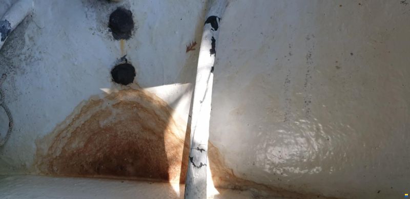 Archambault Bagheera