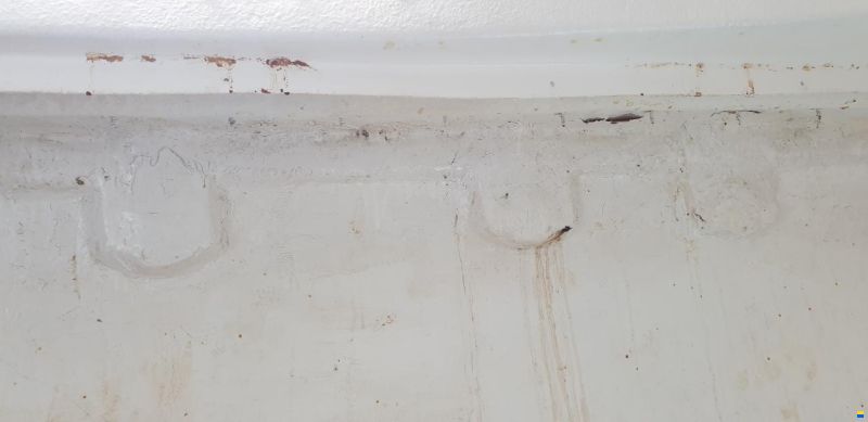 Archambault Bagheera