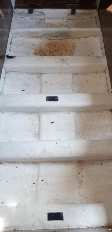 Archambault Bagheera