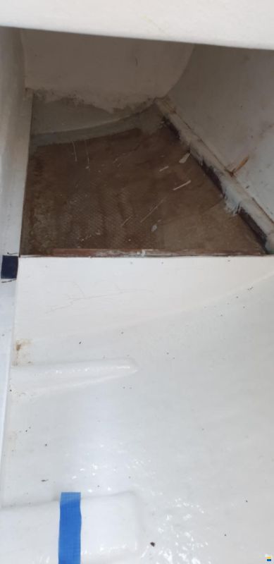 Archambault Bagheera