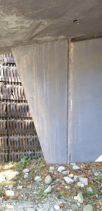 Archambault Bagheera