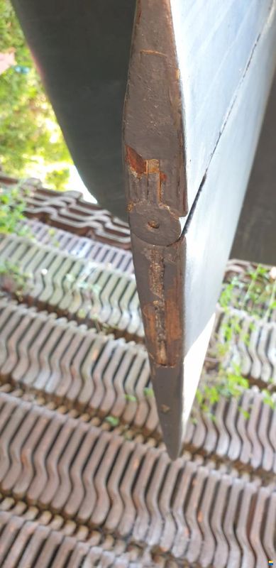 Archambault Bagheera