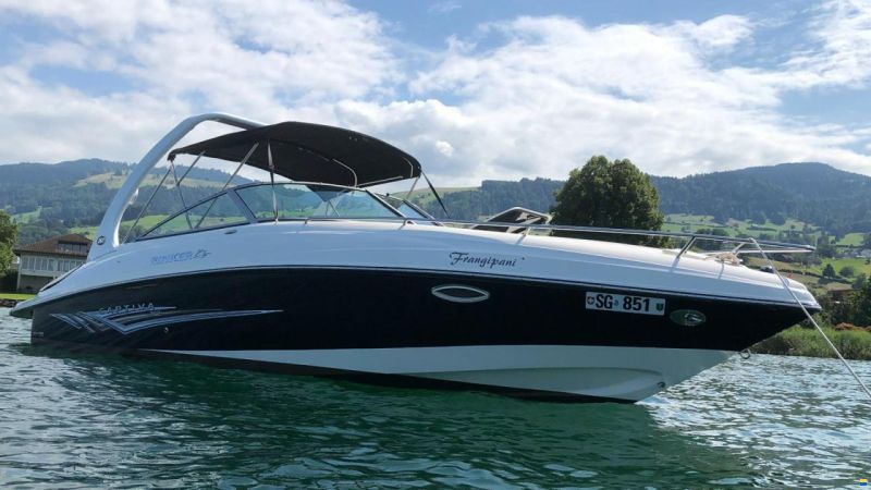 Rinker 262