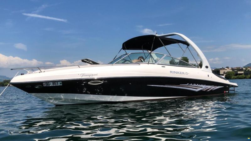 Rinker 262