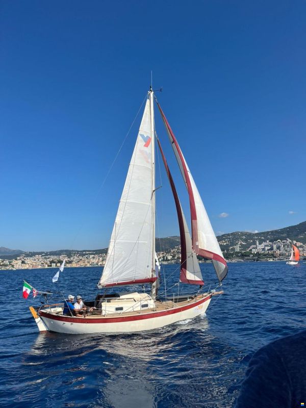 Frances 26 Bermudian Cutter
